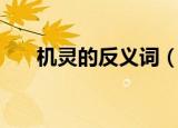 机灵的反义词（机灵的反义词是什么）