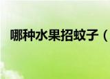哪种水果招蚊子（吃什么水果容易招蚊子）