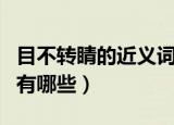 目不转睛的近义词是什么（目不转睛的近义词有哪些）