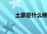 土豪是什么梗（土豪是什么意思）