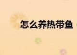 怎么养热带鱼（养热带鱼饲养方法）