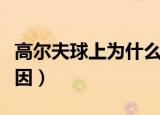 高尔夫球上为什么有坑（高尔夫球上有坑的原因）