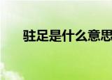驻足是什么意思（驻足意思是什么呢）