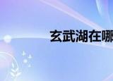 玄武湖在哪里（玄武湖介绍）