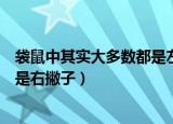 袋鼠中其实大多数都是左撇子还是右撇子（袋鼠是左撇子还是右撇子）