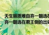 天生丽质难自弃一朝选在君王侧是什么意思（天生丽质难自弃一朝选在君王侧的出处）