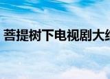 菩提树下电视剧大结局（厚朴和静心在一起）