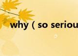 why（so serious什么梗 是怎么解释的）