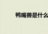 鸭嘴兽是什么动物（鸭嘴兽简介）