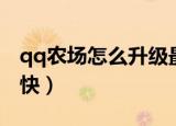 qq农场怎么升级最快（怎样让qq农场升级更快）