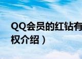 QQ会员的红钻有什么用（QQ会员的红钻特权介绍）