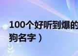 100个好听到爆的狗狗名字（100个可爱的狗狗名字）