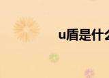 u盾是什么（什么是u盾）