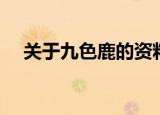 关于九色鹿的资料（有关九色鹿的简介）
