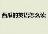 西瓜的英语怎么读（西瓜的英语读音及例句）