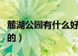 麓湖公园有什么好玩的（麓湖公园有哪些好玩的）