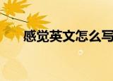 感觉英文怎么写（感觉用英文怎么说）
