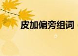 皮加偏旁组词（皮加偏旁组哪些词）