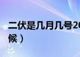 二伏是几月几号2020（2020年二伏是什么时候）