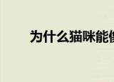 为什么猫咪能像液体（和骨骼有关）