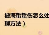 被海蜇蜇伤怎么处理才正确（被海蜇蜇伤的处理方法）