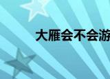 大雁会不会游泳（大雁会游泳吗）