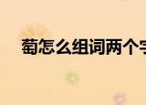 萄怎么组词两个字（萄怎样组词两个字）