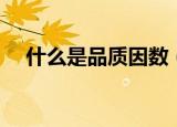 什么是品质因数（品质因数指的是什么）