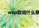 wap歌词什么意思（wap歌词的意思）