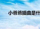 小爸爸插曲是什么（小爸爸所有插曲）