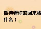 期待着你的回来我的小宝贝是什么歌（歌词是什么）