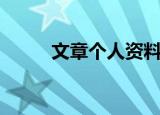 文章个人资料（关于文章的简介）