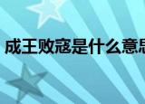 成王败寇是什么意思（成王败寇意思是什么）