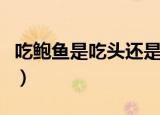 吃鲍鱼是吃头还是足（鲍鱼一般是吃什么部位）
