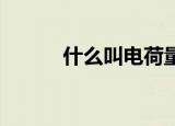 什么叫电荷量（电荷量叫 什么）