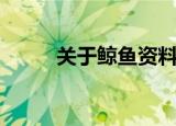 关于鲸鱼资料（鲸鱼资料的介绍）