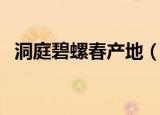 洞庭碧螺春产地（洞庭碧螺春产地在哪里）
