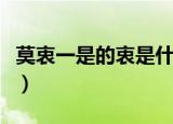 莫衷一是的衷是什么意思（莫衷一是的衷释义）