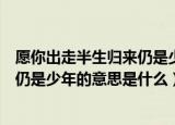 愿你出走半生归来仍是少年的意思是啥（愿你出走半生归来仍是少年的意思是什么）