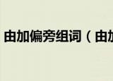 由加偏旁组词（由加上偏旁可以组成哪些字）