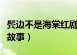 鬓边不是海棠红剧情介绍（主要讲述的是什么故事）