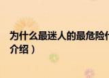 为什么最迷人的最危险什么歌（为什么最迷人的最危险歌词介绍）