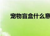 宠物盲盒什么意思（宠物盲盒的意思）