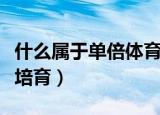 什么属于单倍体育种请举例说明（什么是单倍培育）