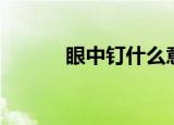 眼中钉什么意思（眼中钉解释）