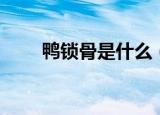 鸭锁骨是什么（鸭锁骨是什么部位）