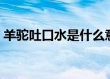羊驼吐口水是什么意思（羊驼吐口水的原因）