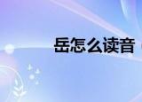 岳怎么读音（岳的拼音及组词）