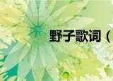 野子歌词（野子的歌曲简介）