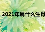 2021年属什么生肖年（2021年属什么生肖）